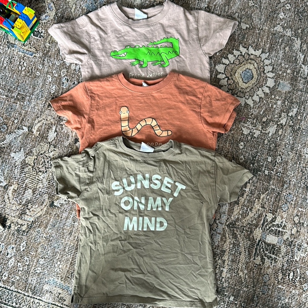 Zara toddler boy t-shirt Bundle 2-3T